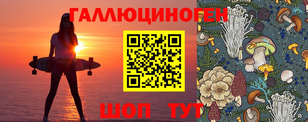 Псилоцибиновые грибы GOLDEN TEACHER Димитровград