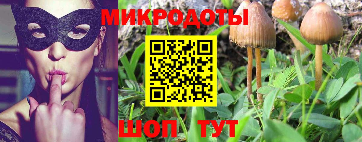 Псилоцибиновые грибы ЛСД  Вход с VPN  Димитровград 