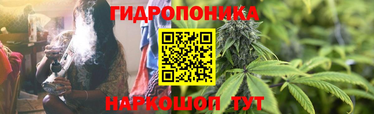 Каннабис планчик  Бошки Шишки White Widow  Каннабис VHQ  Вход с VPN  Димитровград  Каннабис семена 
